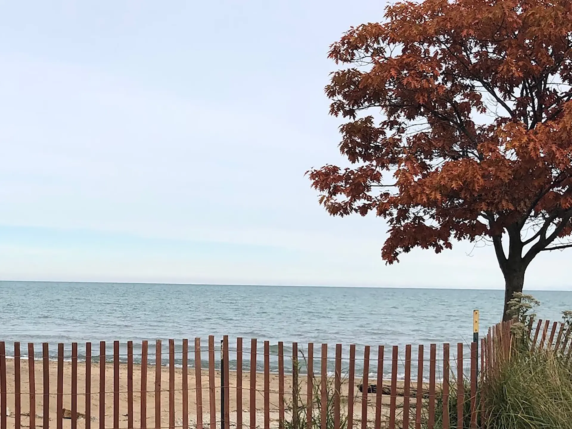 lakefront view with brown picket fence and tree off to the right